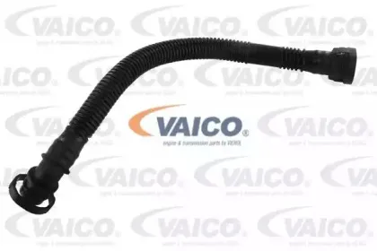 V20-1799 VAICO Шланг, вентиляция картера