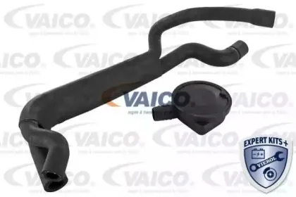 V20-1920 VAICO Клапан, отвода воздуха из картера