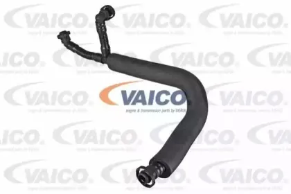 V20-2277 VAICO Шланг, вентиляция картера