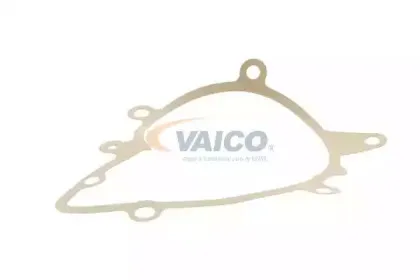 vaico-v20500301