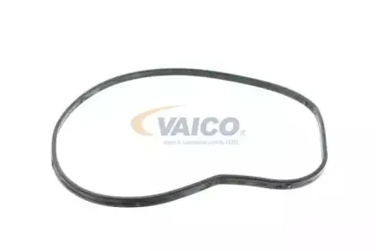 vaico-v2050052