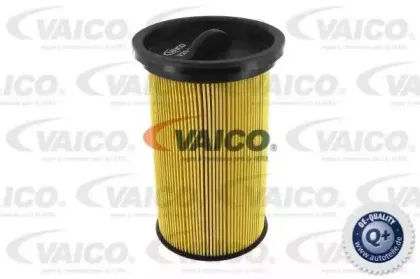 vaico-v208113