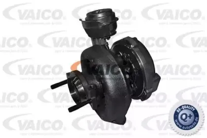 vaico-v208166