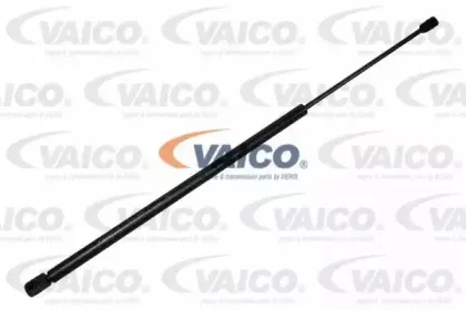 vaico-v220121