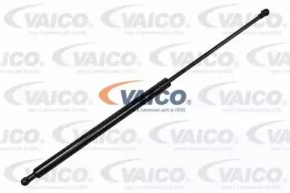vaico-v220123