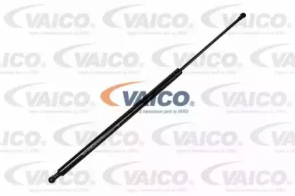 vaico-v220124