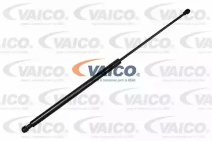 vaico-v220125