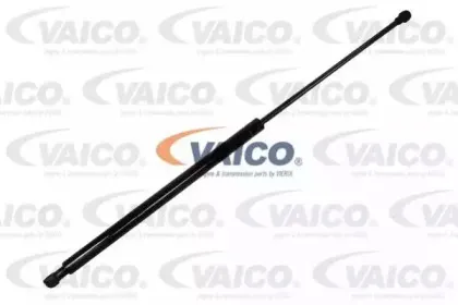 vaico-v220204