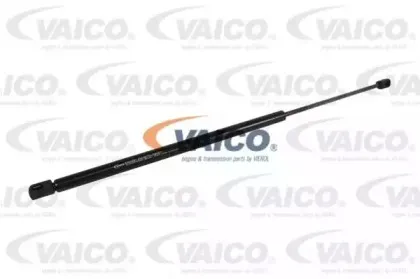 vaico-v220210