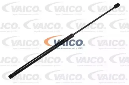 vaico-v220219