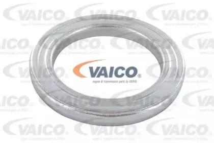 vaico-v220306