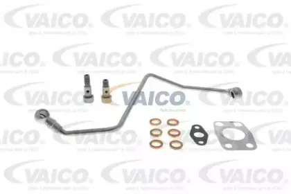 vaico-v220404