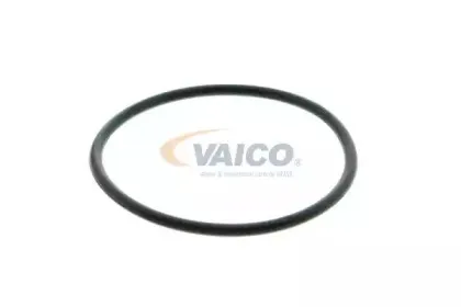 vaico-v2250006
