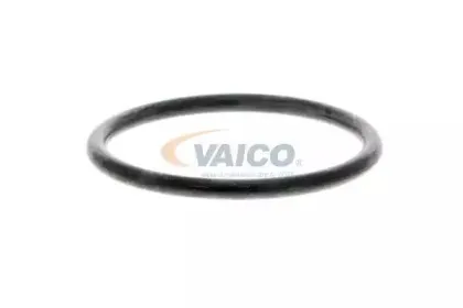vaico-v2250012