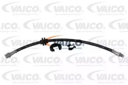 vaico-v240004