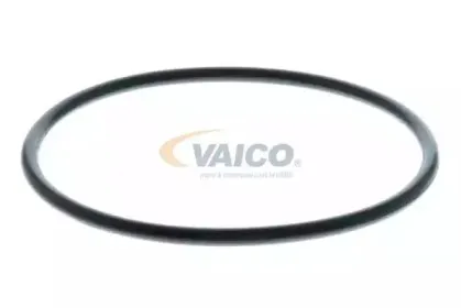 vaico-v240008