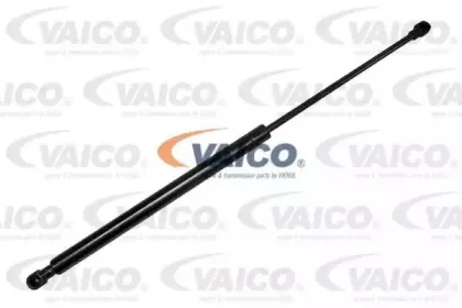 vaico-v240043