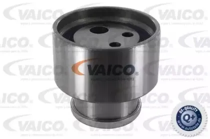vaico-v240113