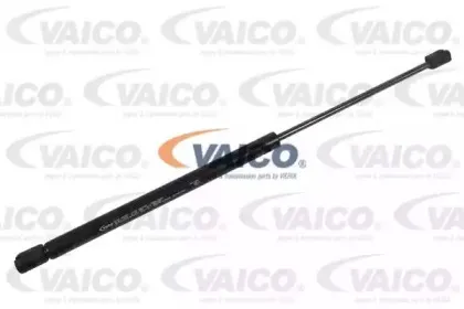 vaico-v240201