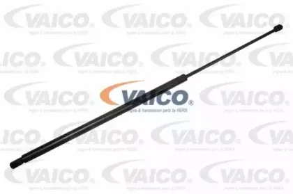 vaico-v240205