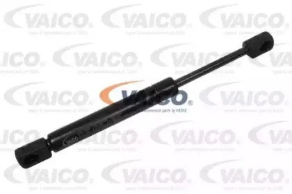 vaico-v240206