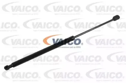 vaico-v240207