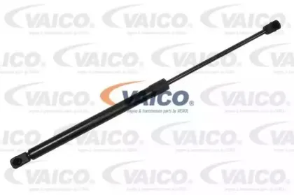 vaico-v240212