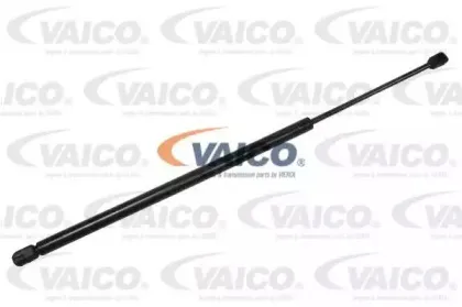 vaico-v240218