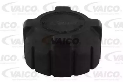 vaico-v240221