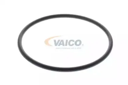 vaico-v240282