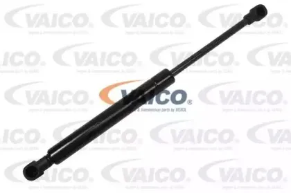 vaico-v240301