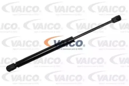 vaico-v240302