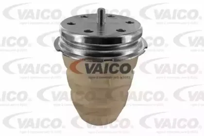 vaico-v240309