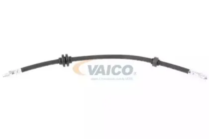 vaico-v240328