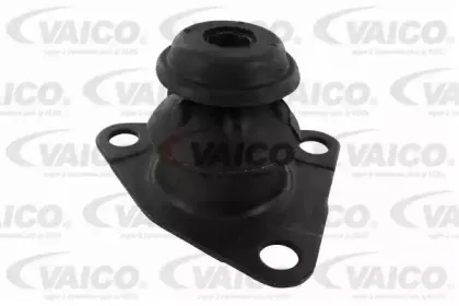 vaico-v240359