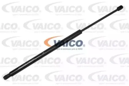 vaico-v240501
