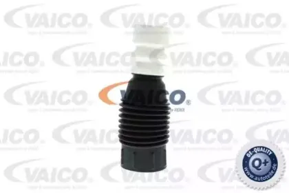 vaico-v240521