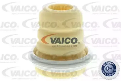 vaico-v240530