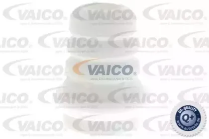 vaico-v240531