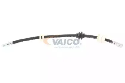 vaico-v244100