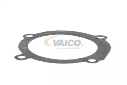 vaico-v2450003
