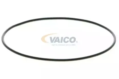 vaico-v2450010