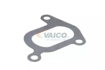 vaico-v2450011
