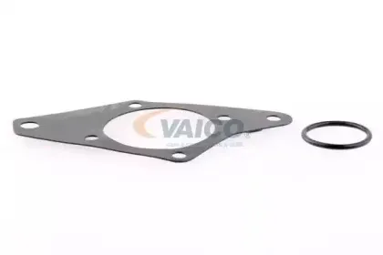 vaico-v2450013