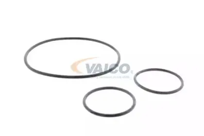 vaico-v2450014
