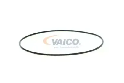 vaico-v2450016