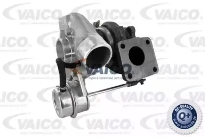 vaico-v247122