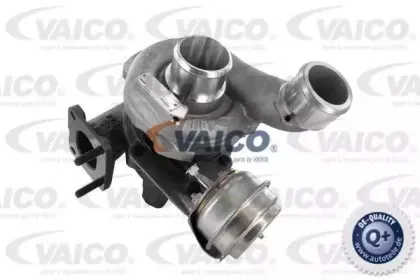 vaico-v247138