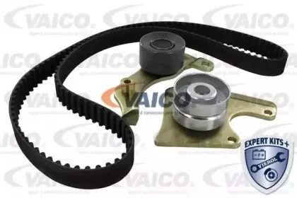 vaico-v247181