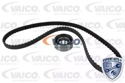 vaico-v247183